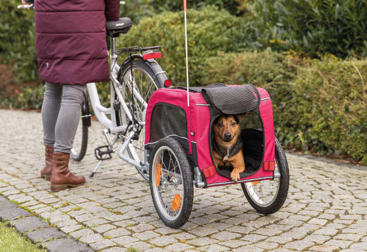 TRIXIE Fahrrad-Anhänger für Hunde